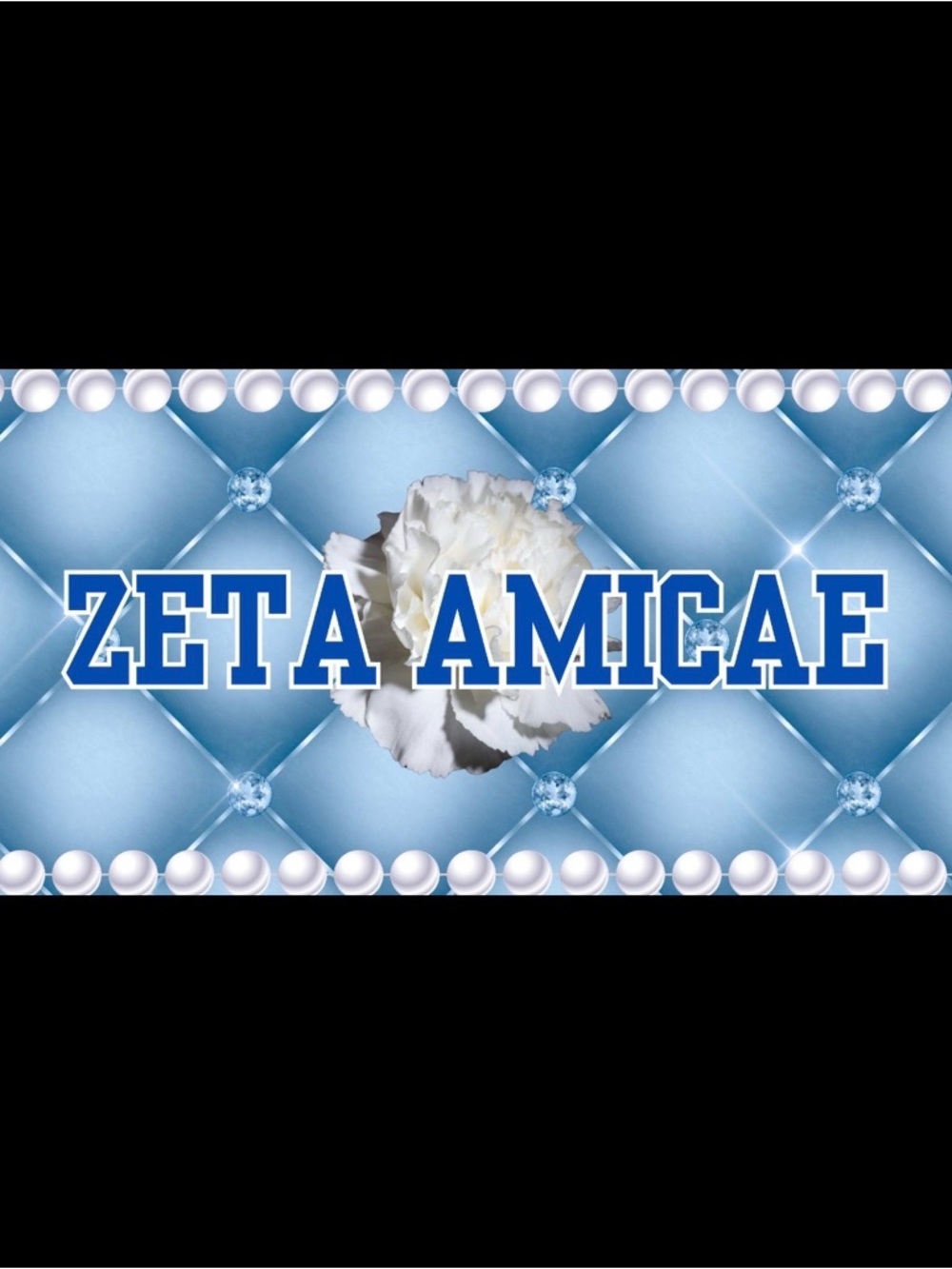 AMICAE LICENSE PLATE